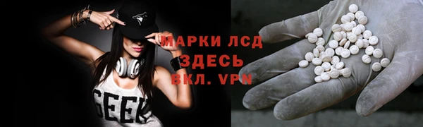 индика Белокуриха