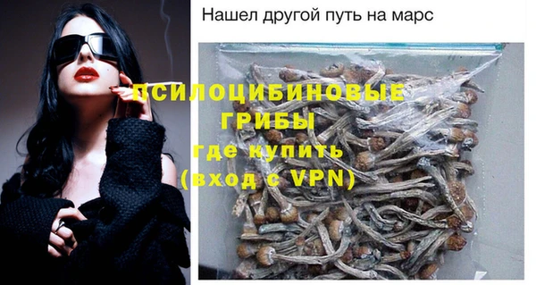 индика Белокуриха