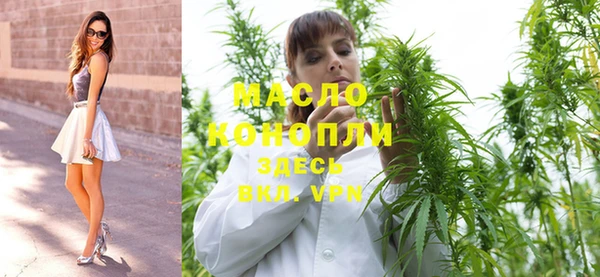 индика Белокуриха