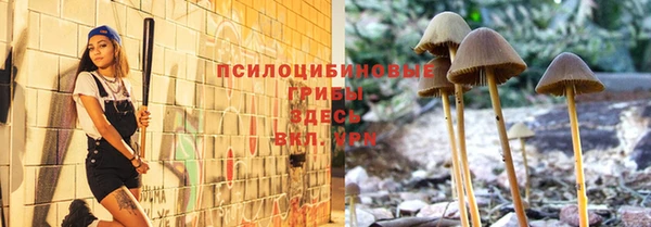 индика Белокуриха