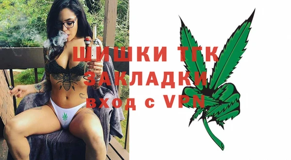 индика Белокуриха