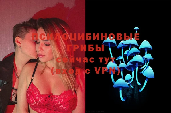 индика Белокуриха