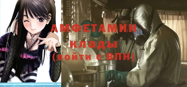 индика Белокуриха