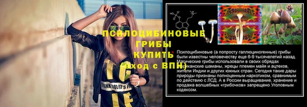 индика Белокуриха